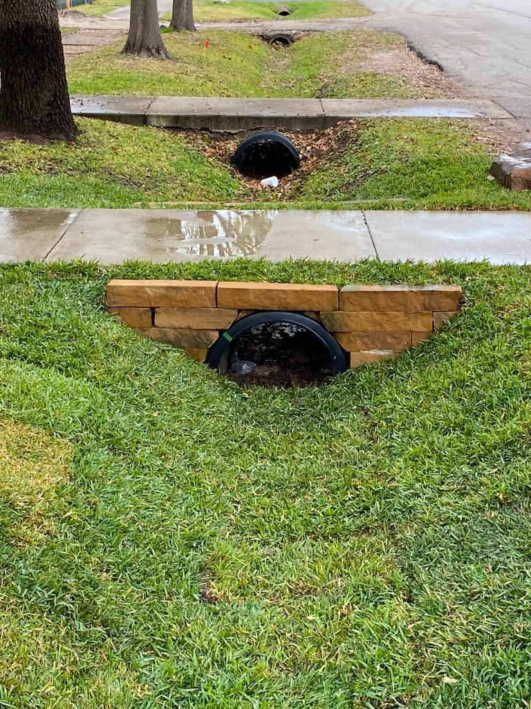 Fresh lawn established with new sod installation